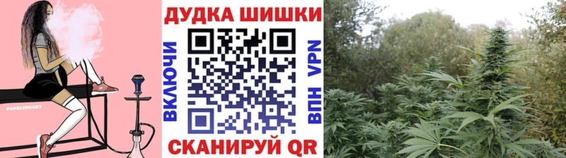 Купить где  Рославль  Шишки марихуана план 